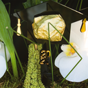 Rabellia Graduation Bouquet