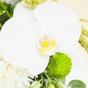 Rosdora vase
