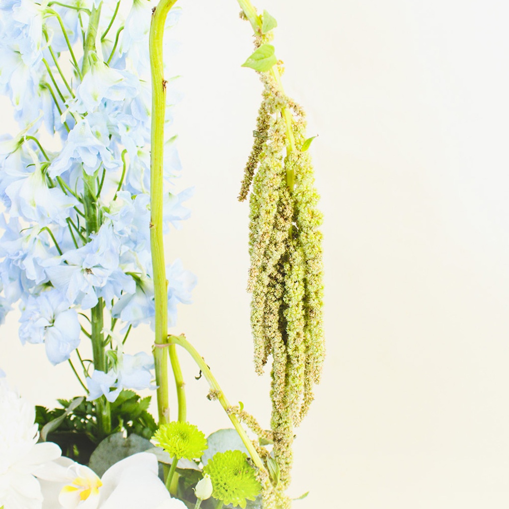 Rosdora vase