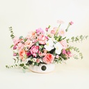 باقة باروسيا