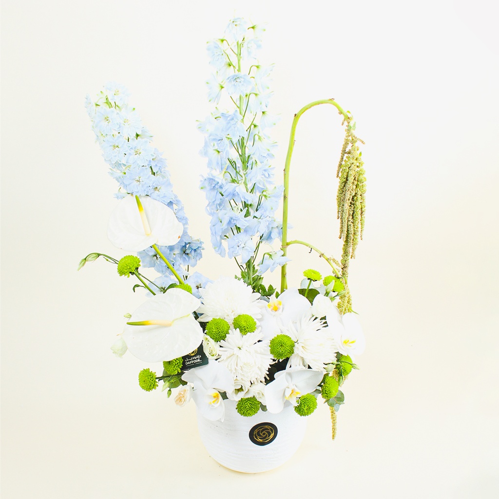 فازة روزدورا 