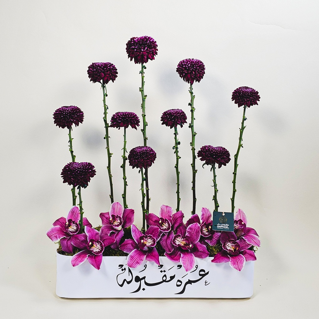 Nisaflor Omra Maqbola 