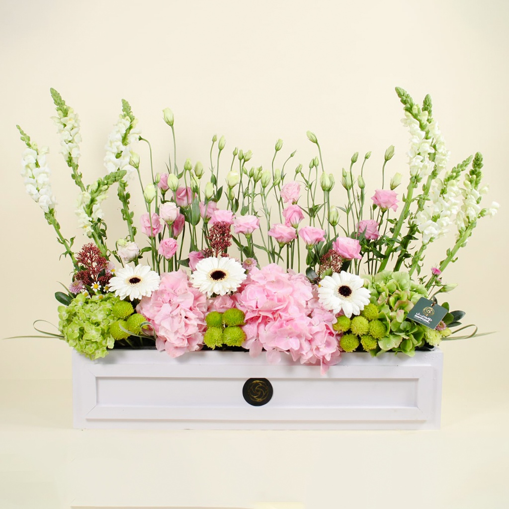 باقة بيلوفا