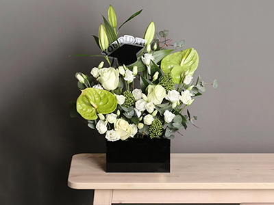 تحقيق الأحلام