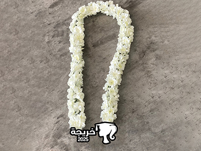 أناقة التخرج