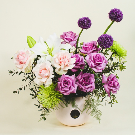 [DFD-BQT-146024] فازة بكينورا