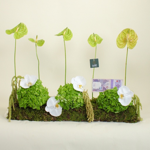 [DFD-BQT-14610] باقة ماروفا