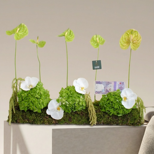 [DFD-BQT-14610] Bouquet Marova