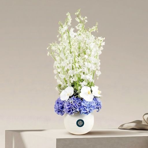 [DFD-BQT-14637] باقة كاليفا