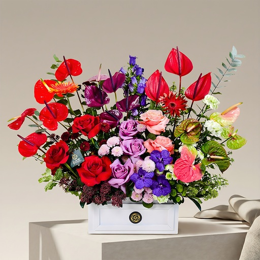 [DFD-BQT-14645] Miolina Bouquet