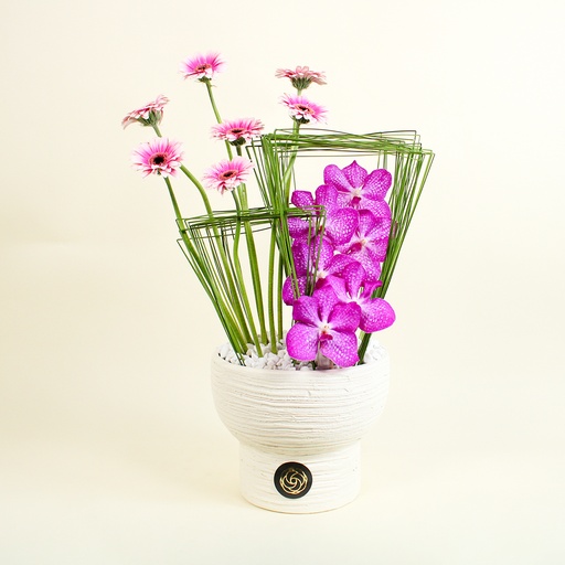 [DFD-BQT_14710] Vanda Grace Bouquet 